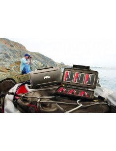 Pouzdro Peli 0945 na paměťové karty CF/CM 2