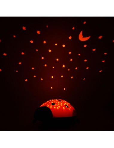 Ansmann Hvězdná obloha beruška